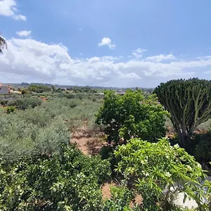L'araucaria Affittacamere