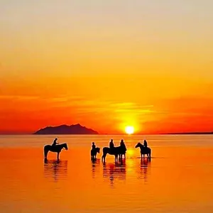 Bed & Breakfast Sunrise Stagnone, Marsala